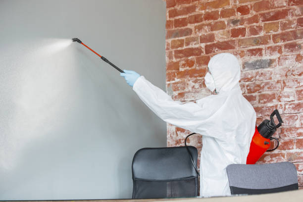 Best Forensic Mold Investigation  in West Liberty, OH