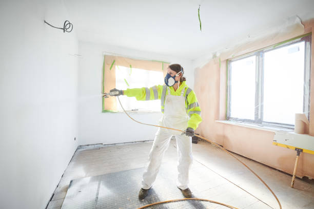 Best Mold Damage Restoration  in West Liberty, OH