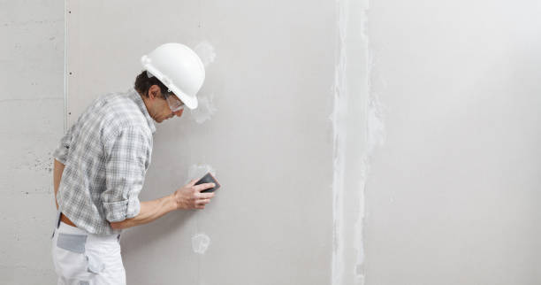 Best Post-Construction Mold Inspection  in West Liberty, OH