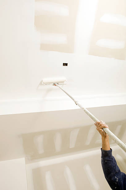 Trusted West Liberty, OH Mold Removal Experts