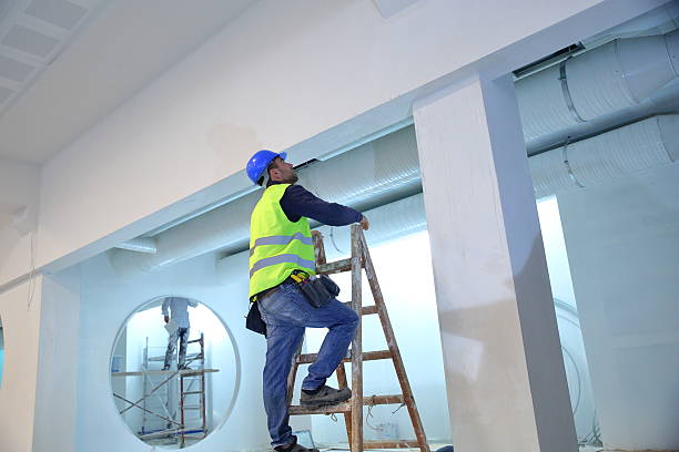 Best Attic Mold Removal  in West Liberty, OH